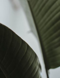 content-pixie-r5r2ysWLUQI-unsplash